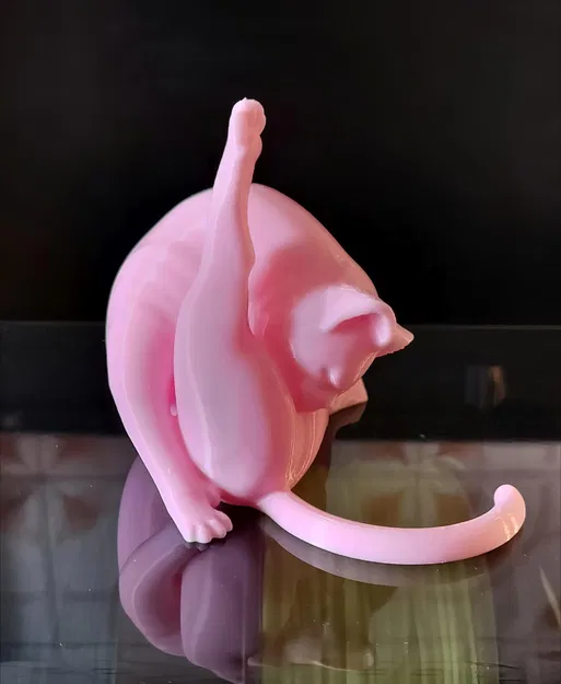 Mô hình in 3D: Mèo Đang Chải Chuốt - Image 2