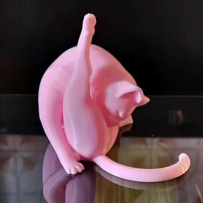 Mô hình in 3D: Mèo Đang Chải Chuốt