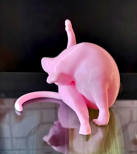 Mô hình in 3D: Mèo Đang Chải Chuốt - Image 4