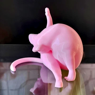 Mô hình in 3D: Mèo Đang Chải Chuốt