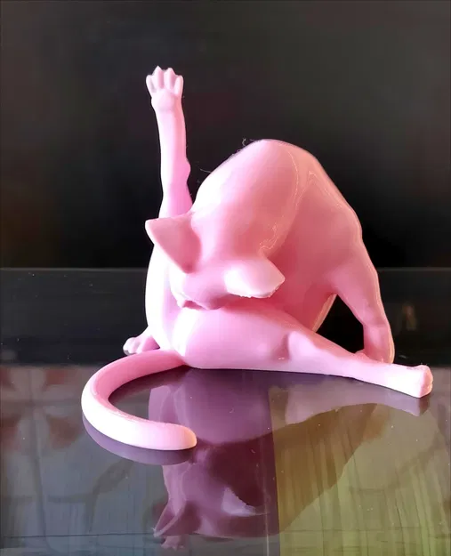 Mô hình in 3D: Mèo Đang Chải Chuốt - Image 5