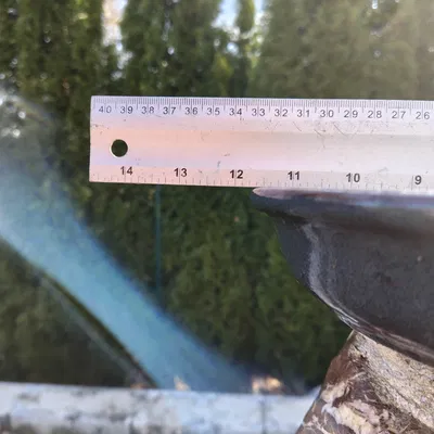 Bee-Safe-Ladder - Chiếc thang cứu hộ cho ong