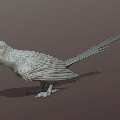 Mô hình tượng Feitianius