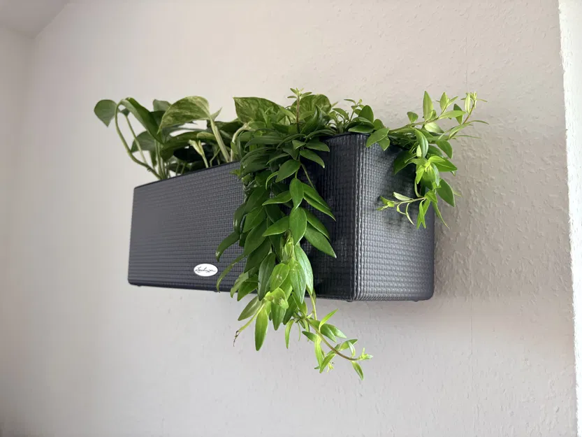 Giá treo tường cho chậu Lechuza Balconissima - Image 2