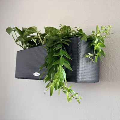 Giá treo tường cho chậu Lechuza Balconissima