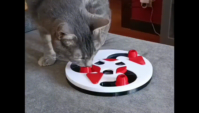 Đồ chơi trí tuệ Cat Treat Puzzle cho mèo
