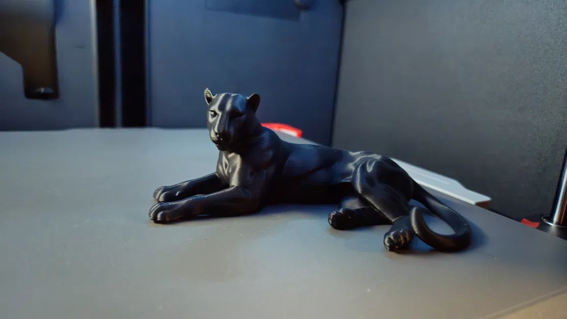 Mô hình 3D Báo Đen (Pantera Nera Reale) trang trí để bàn cực chất - Image 3