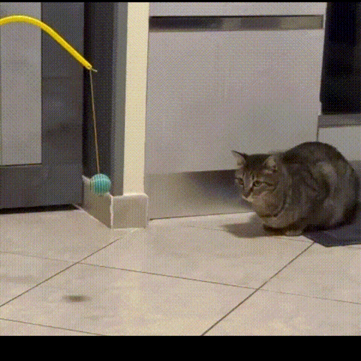 The Feline Apocalypse Pendulum - Đấu trường chiến đấu cho mèo cưng