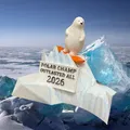 Cúp Polar Plunge 2026 (Tắm Băng) - Thumbnail 2