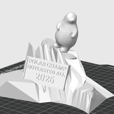 Cúp Polar Plunge 2026 (Tắm Băng)