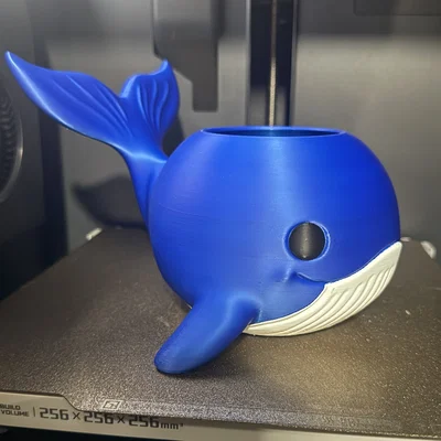 Chậu cây 3D hình cá voi dễ thương có lỗ thoát nước