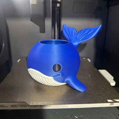 Chậu cây 3D hình cá voi dễ thương có lỗ thoát nước