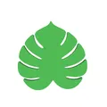 Bộ Lót Ly Lá Monstera - Thumbnail 4