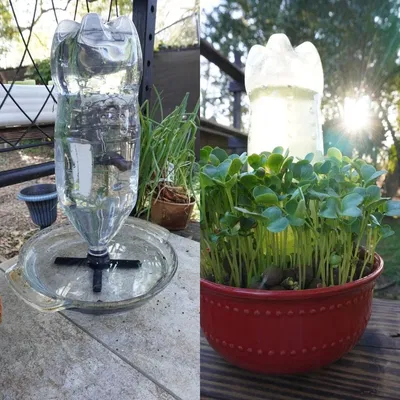 Đầu chuyển chai nhựa làm hệ thống thủy canh tự tưới (Gravity Fed)