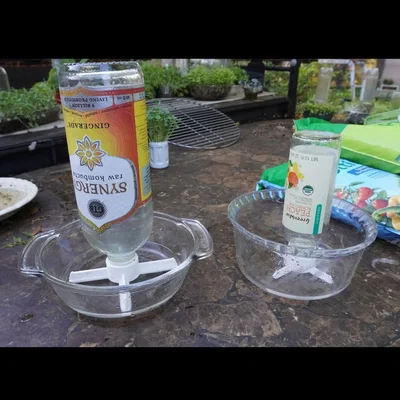 Bộ chuyển đổi chai Kombucha cho thủy canh (Tự tưới, cấp nước bằng trọng lực)