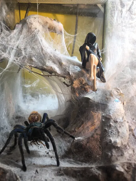 Mô hình 3D Sisters of Death - Tượng trang trí nghệ thuật huyền bí - Image 6