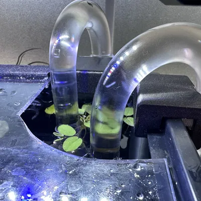 Gá Đỡ Lily Pipe Aquario Neo Flow Cho Hồ Có Kiềng