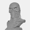 T‑800 Endo Skull bust - Mô hình đầu lâu Kẻ Hủy Diệt - Thumbnail 5