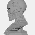 T‑800 Endo Skull bust - Mô hình đầu lâu Kẻ Hủy Diệt - Thumbnail 8