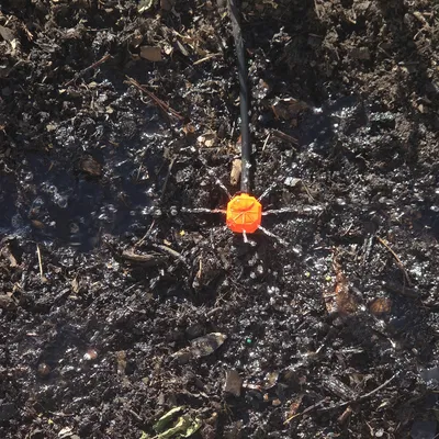 Đầu phun tưới cây đơn giản, bền bỉ | Thiết kế cọc cắm ống 1/4 inch