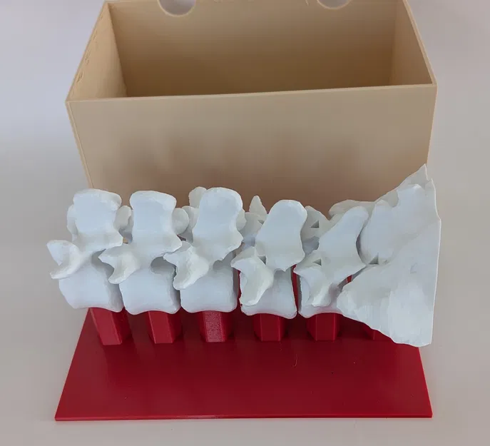 Mô hình tập huấn nội soi cột sống thắt lưng (Lumbar Endoscopy Training Simulator) - Image 1