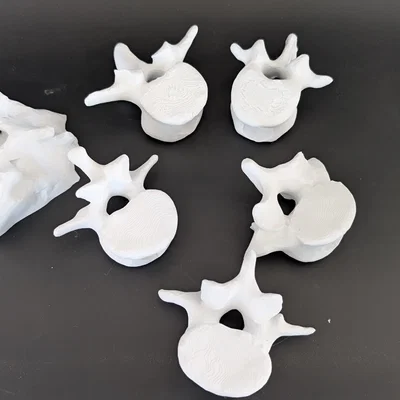 Mô hình tập huấn nội soi cột sống thắt lưng (Lumbar Endoscopy Training Simulator)