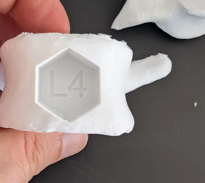 Mô hình tập huấn nội soi cột sống thắt lưng (Lumbar Endoscopy Training Simulator) - Image 5