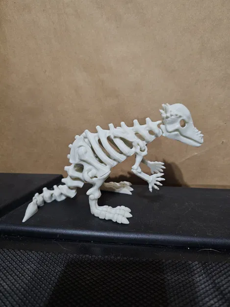 Mô hình bộ xương khủng long Pachycephalosaurus khớp nối in 3D - Image 1