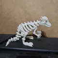 Mô hình bộ xương khủng long Pachycephalosaurus khớp nối in 3D - Thumbnail 1