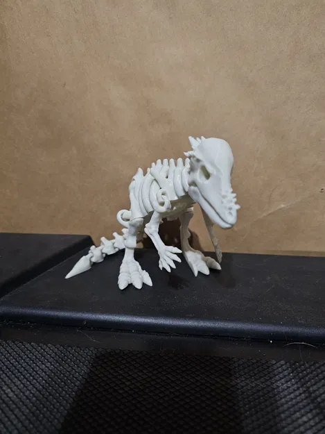 Mô hình bộ xương khủng long Pachycephalosaurus khớp nối in 3D - Image 2