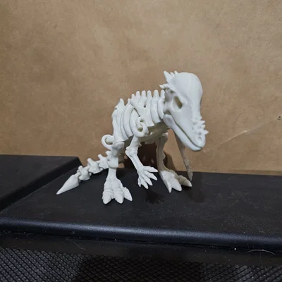 Mô hình bộ xương khủng long Pachycephalosaurus khớp nối in 3D