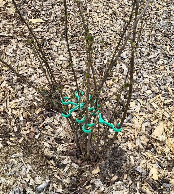 Bộ kẹp / cố định / tạo dáng cành cây, cây bụi và cây cảnh - Image 4