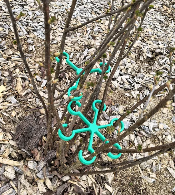 Bộ kẹp / cố định / tạo dáng cành cây, cây bụi và cây cảnh - Image 6