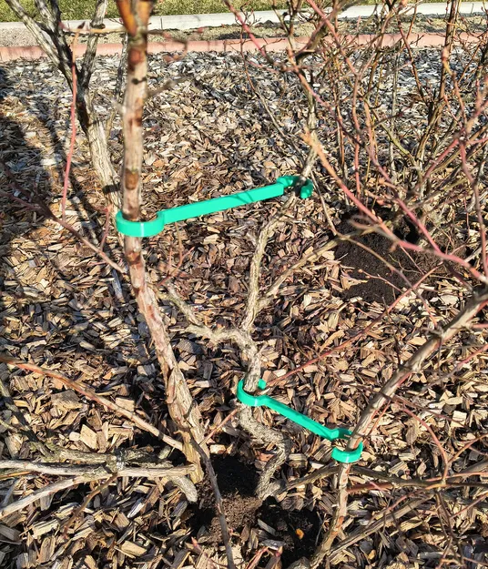 Bộ kẹp / cố định / tạo dáng cành cây, cây bụi và cây cảnh - Image 8