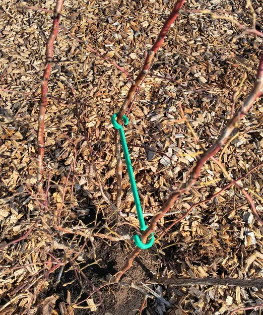 Bộ kẹp / cố định / tạo dáng cành cây, cây bụi và cây cảnh - Image 9