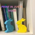 MINIMAL BUNNY/RABBIT FAST PRINT EASTER 2026 - Thumbnail 1