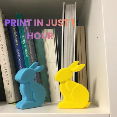 MINIMAL BUNNY/RABBIT FAST PRINT EASTER 2026