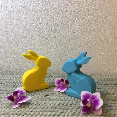 MINIMAL BUNNY/RABBIT FAST PRINT EASTER 2026