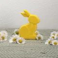 MINIMAL BUNNY/RABBIT FAST PRINT EASTER 2026 - Thumbnail 4