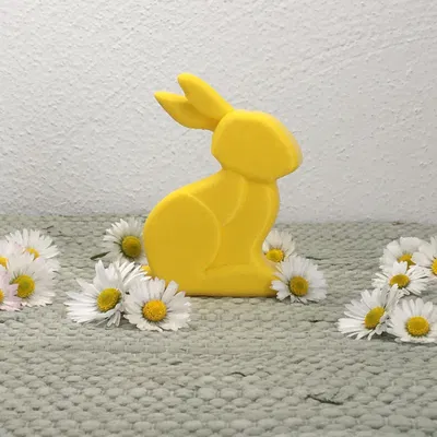 MINIMAL BUNNY/RABBIT FAST PRINT EASTER 2026