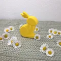 MINIMAL BUNNY/RABBIT FAST PRINT EASTER 2026 - Thumbnail 5
