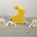 MINIMAL BUNNY/RABBIT FAST PRINT EASTER 2026 - Thumbnail 6