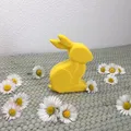 MINIMAL BUNNY/RABBIT FAST PRINT EASTER 2026 - Thumbnail 7