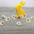 MINIMAL BUNNY/RABBIT FAST PRINT EASTER 2026 - Thumbnail 9