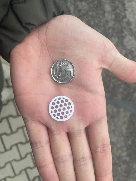 Mô hình đồng xu 5 CZK siêu nhẹ - Dự án in 3D tiết kiệm nhựa - Image 1