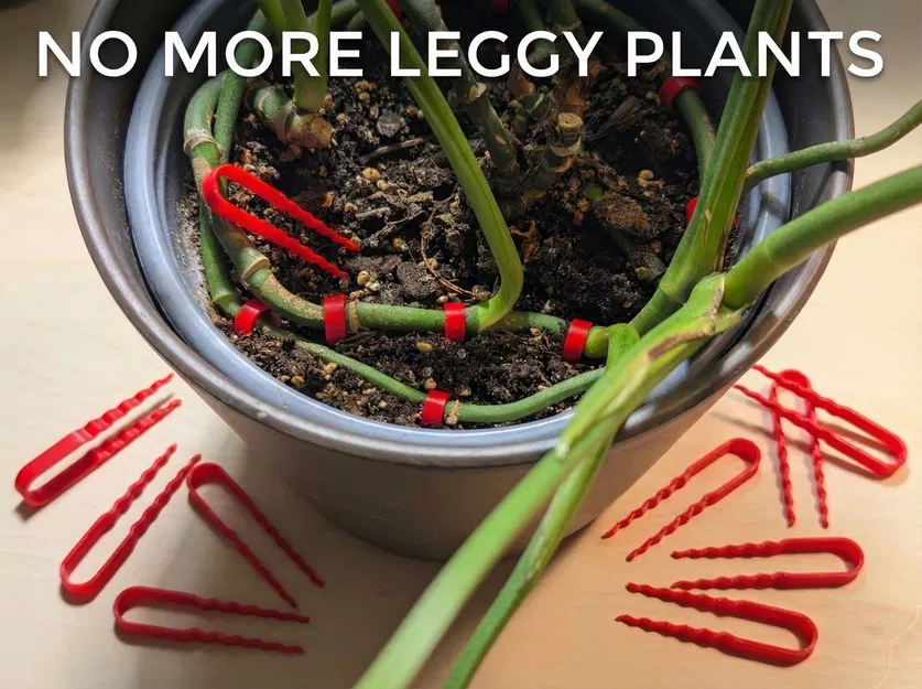 Ghim Cố Định Thân Cây (House)plant Stem to Soil Pin - Image 1