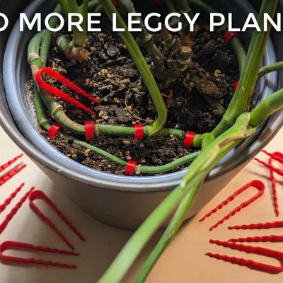 Ghim Cố Định Thân Cây (House)plant Stem to Soil Pin