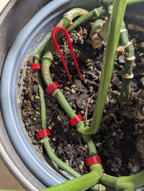 Ghim Cố Định Thân Cây (House)plant Stem to Soil Pin - Image 3