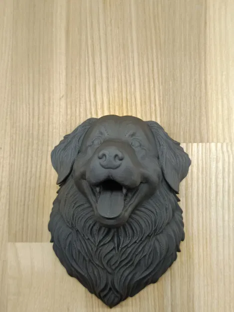 Mô hình đầu chó Bernese Mountain Dog trang trí tường 3D - Image 2