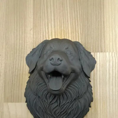 Mô hình đầu chó Bernese Mountain Dog trang trí tường 3D